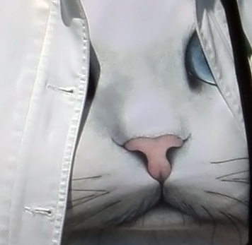   ݣ.