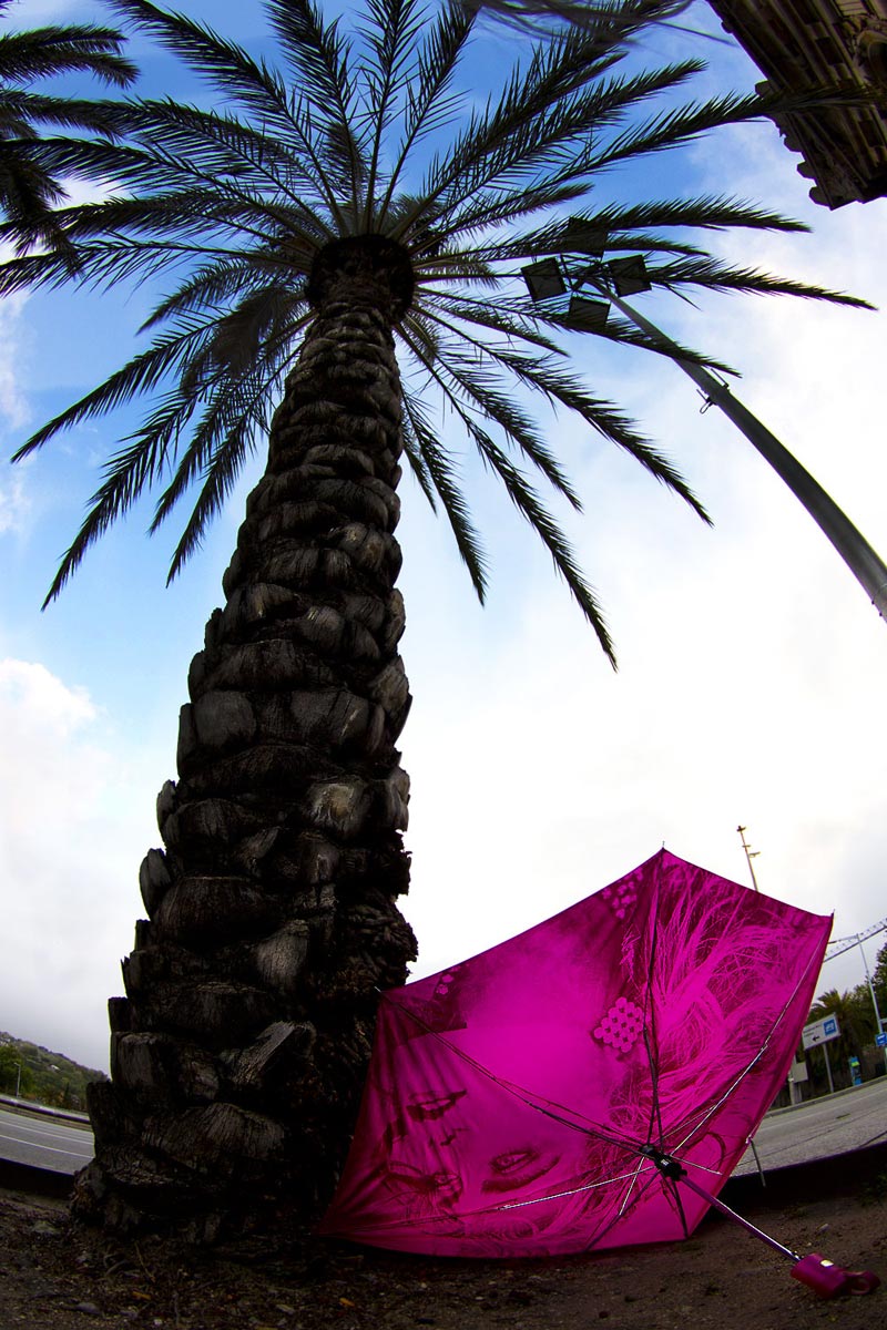  No pasarn! La lluvia no ir! 