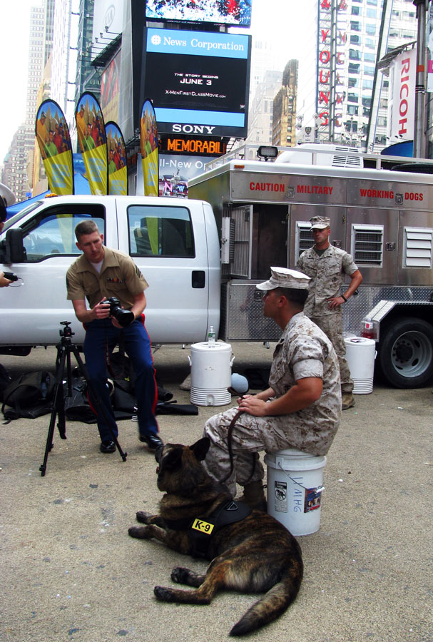  K-9. Times Square. May 27, 2011