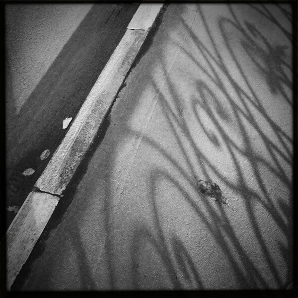  Lomo #54