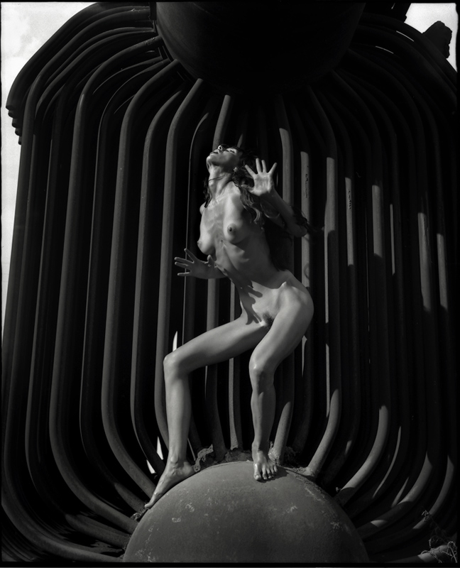  Reversals: Magnetic Flip ( 