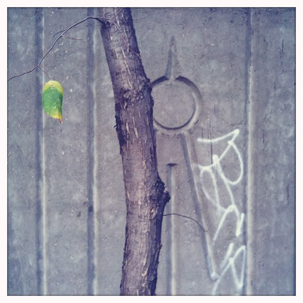  Lomo #61