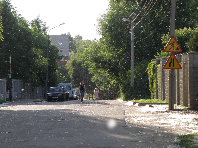   2011  
