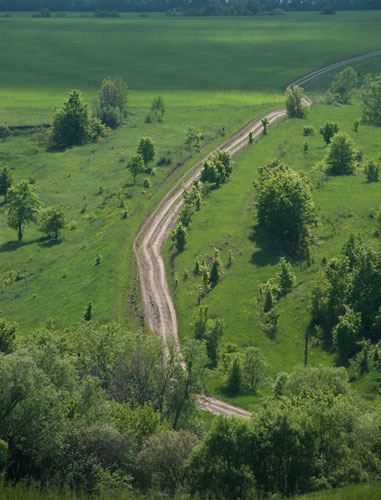  road to green