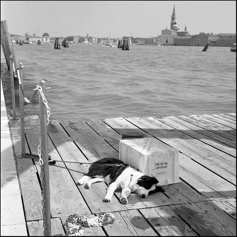  Something about Venice #4