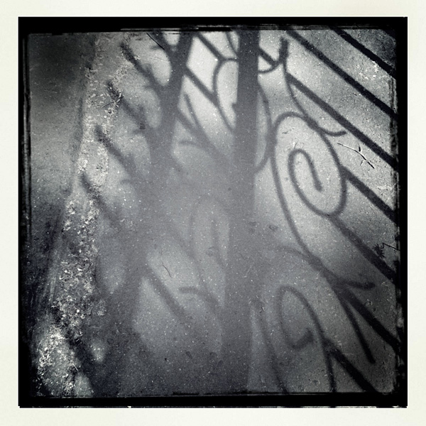  Lomo #65