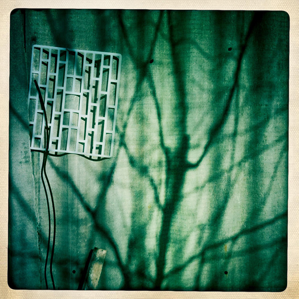  Lomo #66
