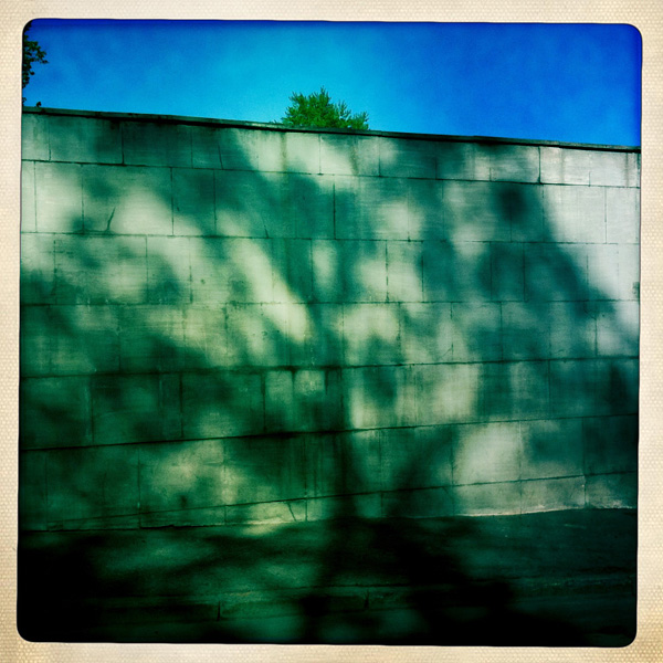  Lomo #67