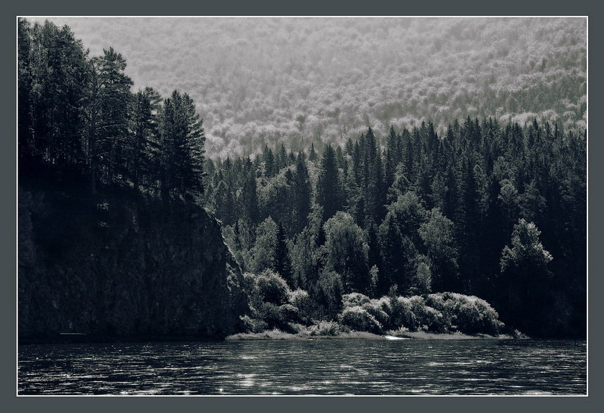  (***)