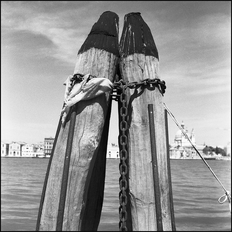 Something about Venice #8