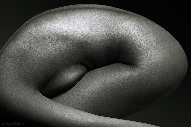  Embryo