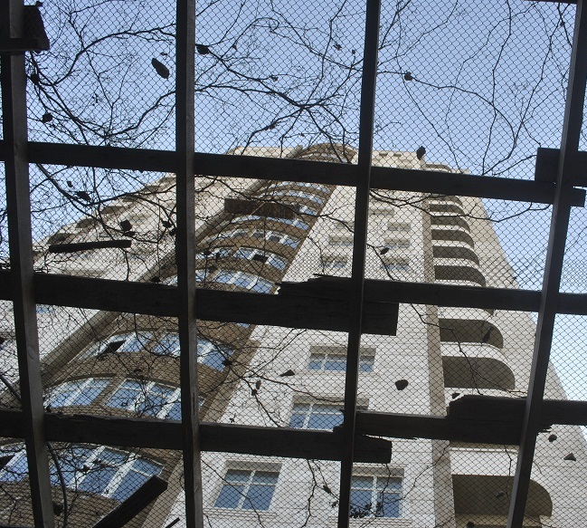  mecta bez domnix