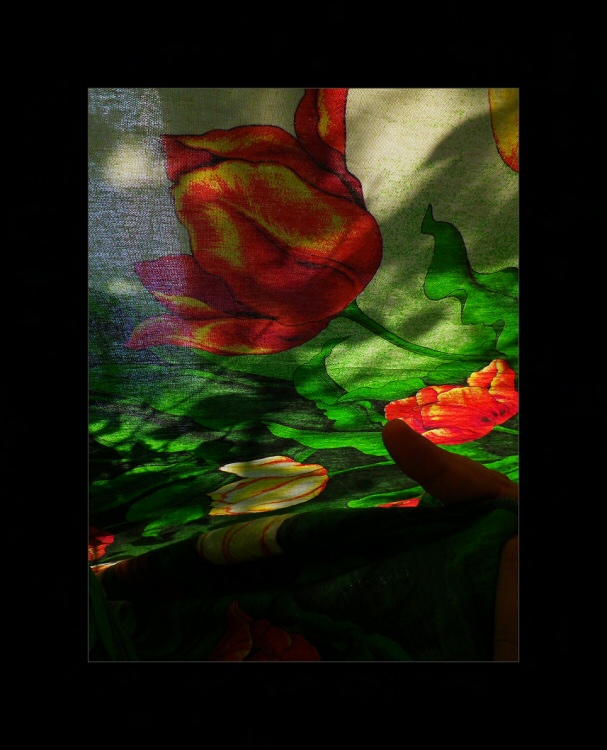  ***