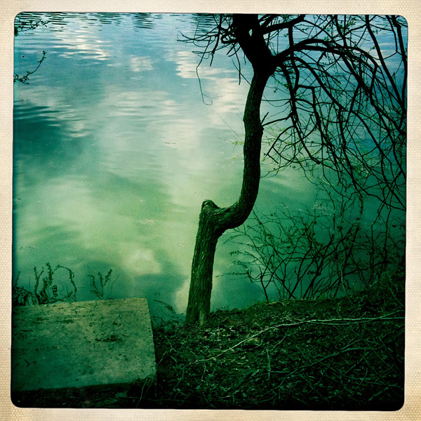  Lomo #85