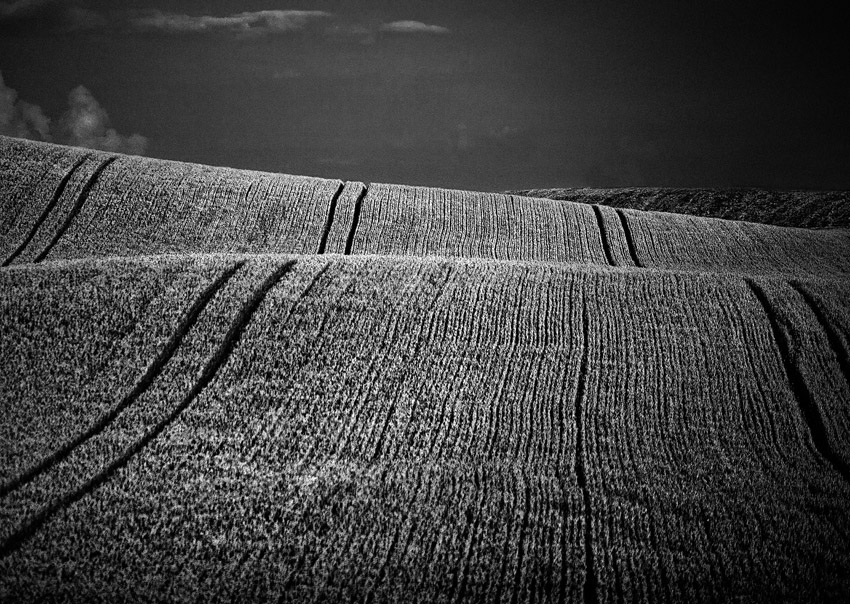  Lines