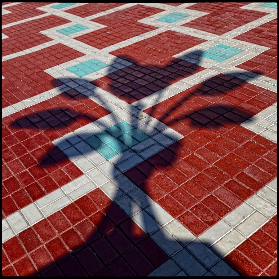  (*)