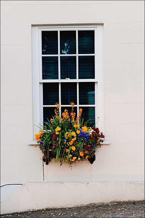  Gersey`s windows and doors