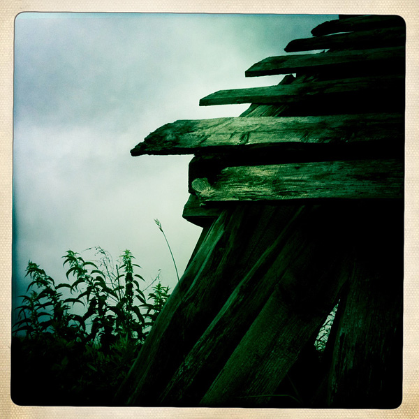  Lomo #97