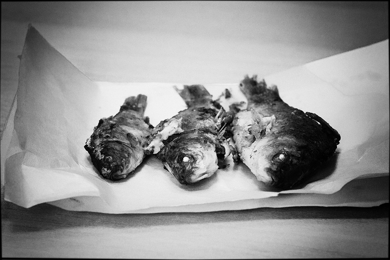  dead fish 2
