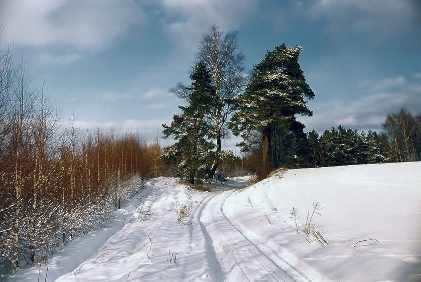  Winter
