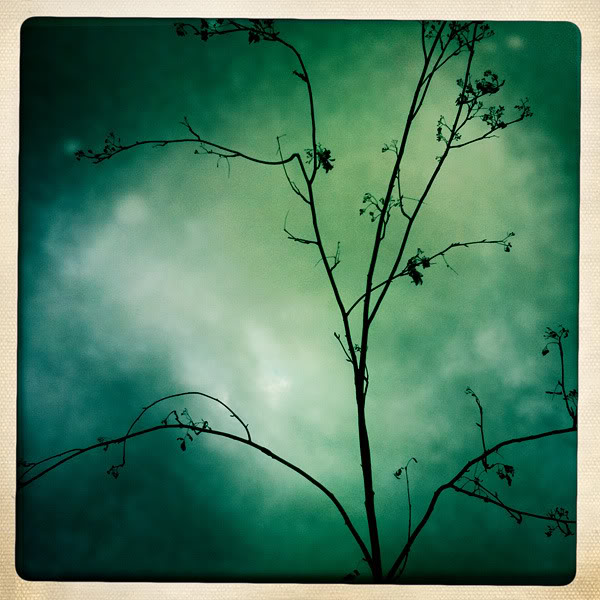  Lomo #108