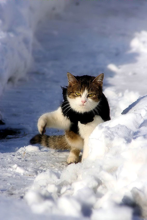  Winter
