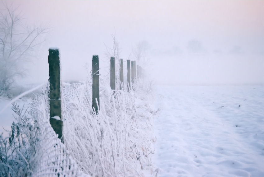  Winter
