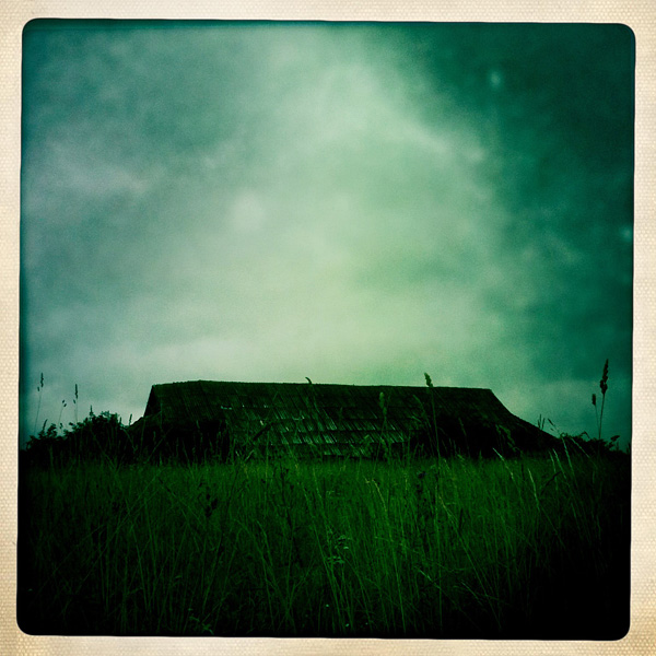  Lomo #116