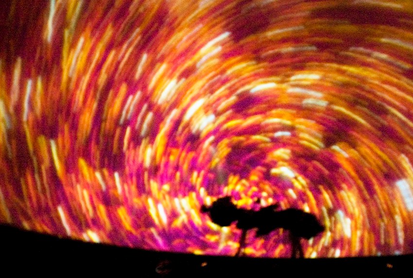  Universum