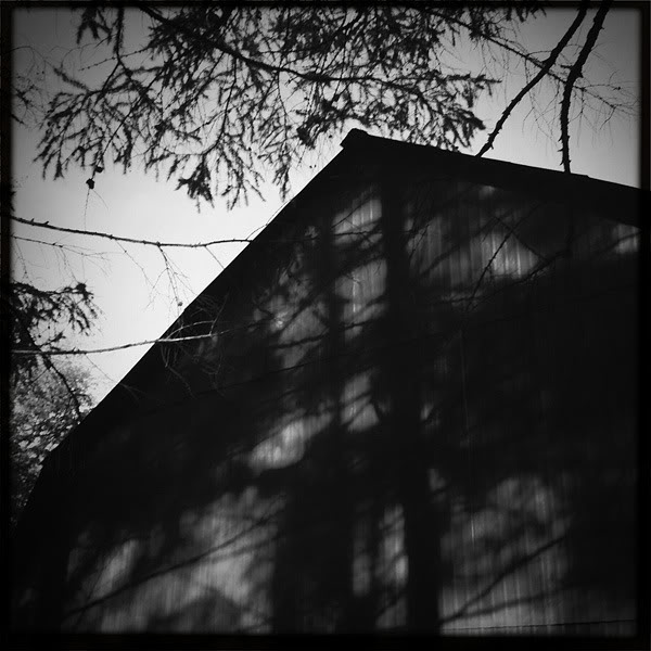  Lomo #120