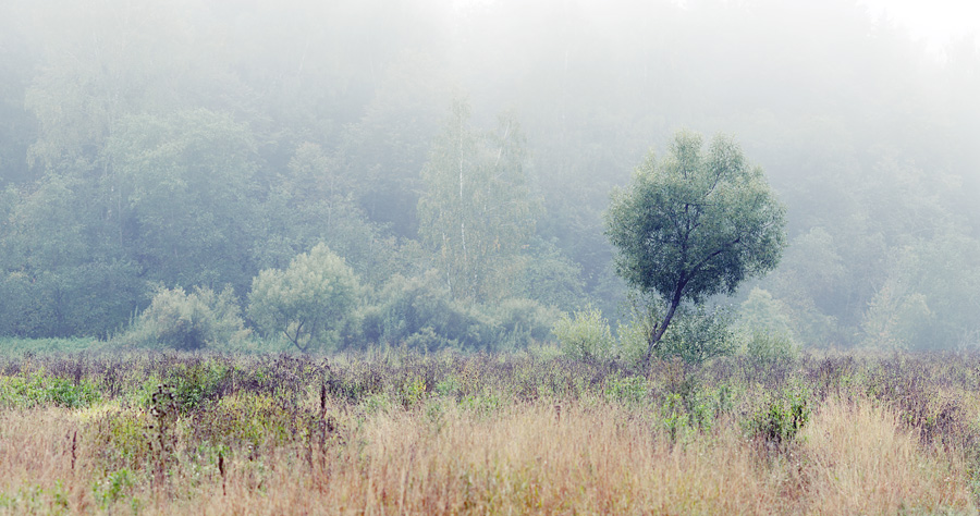  110913-DSC03965-71P