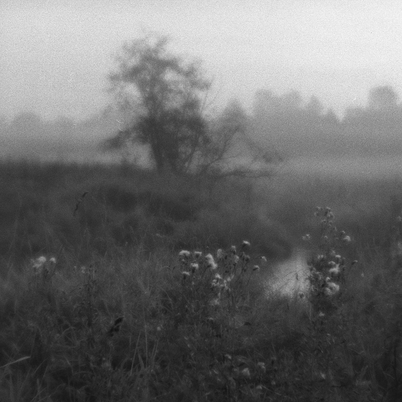  489-HB-110831-IlfordHP5-03