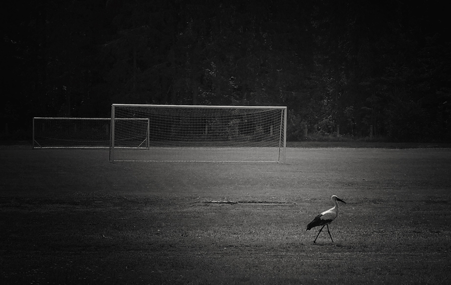  2-1