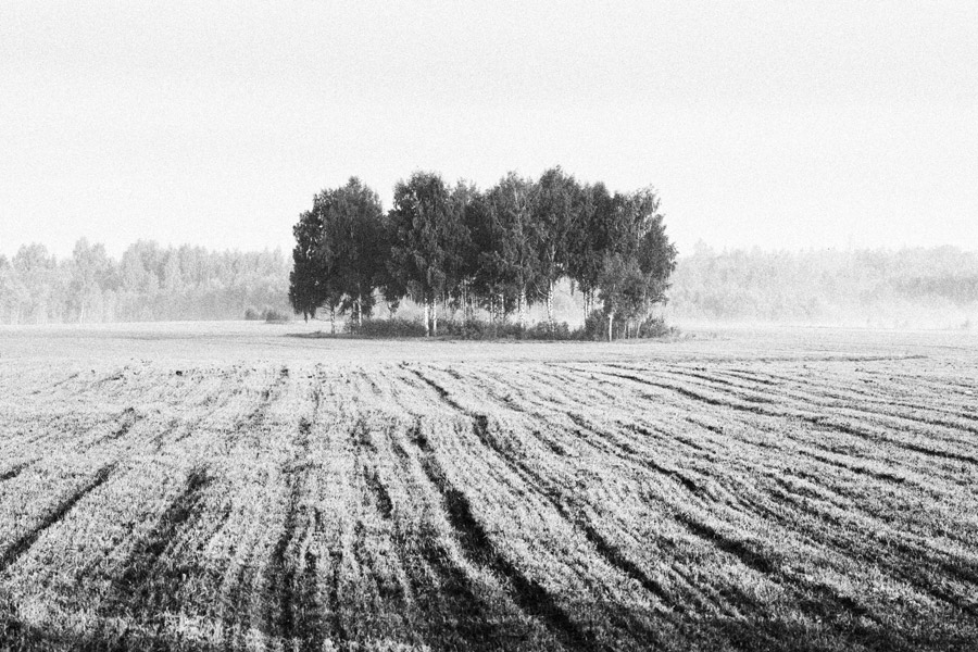  110529-DSC09575-79P-bw
