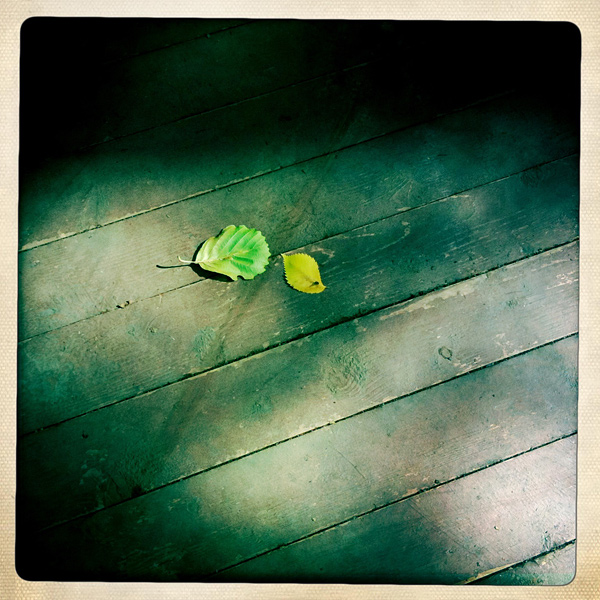  Lomo #127