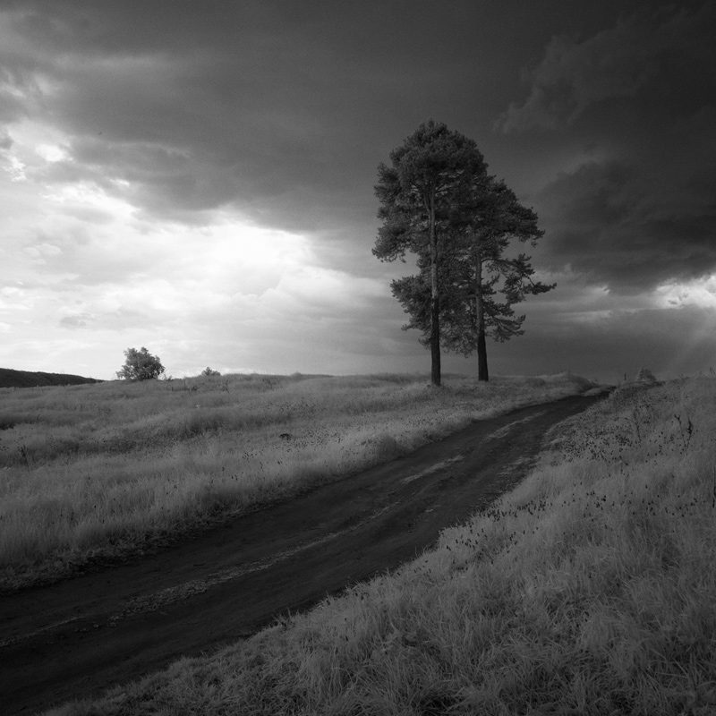  110528-P1020647