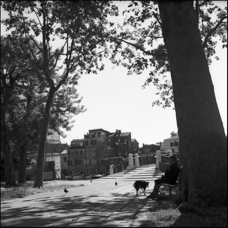  Something about Venice #33