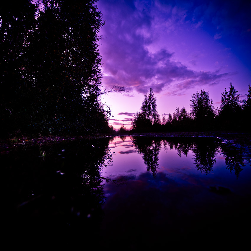  Shadows in deep purple