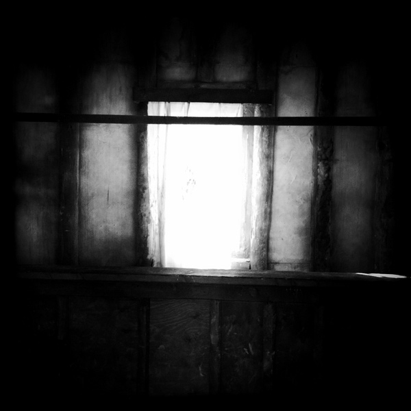  Lomo #137