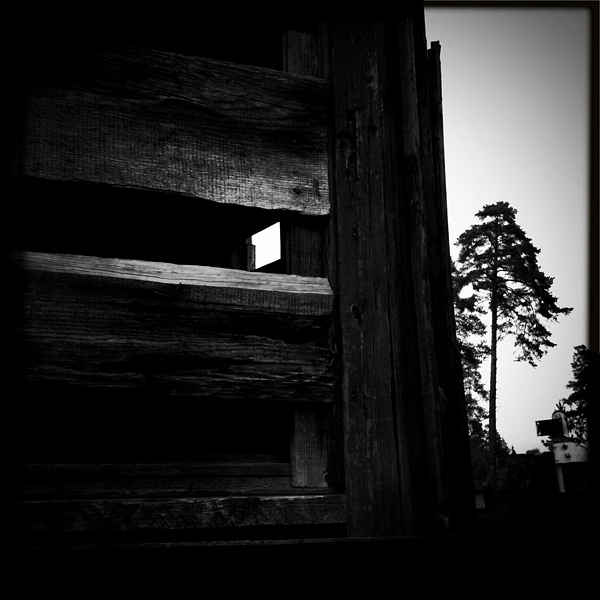  Lomo #140