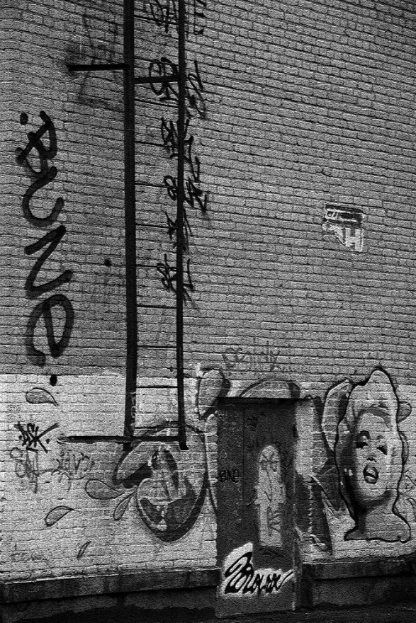  Monroe forever,,,