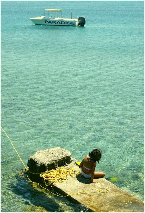  Paradise