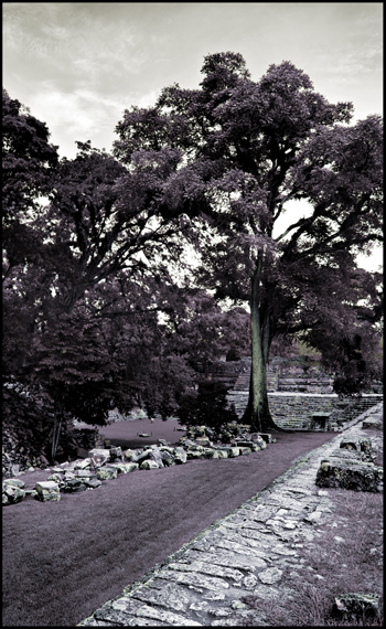  Maya ruins