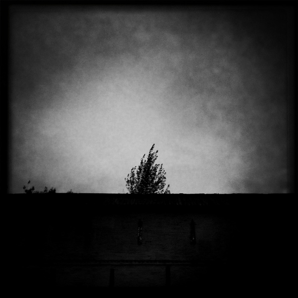  Lomo #150
