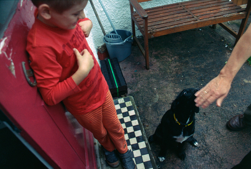  doggy