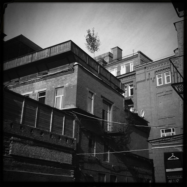  Lomo #156