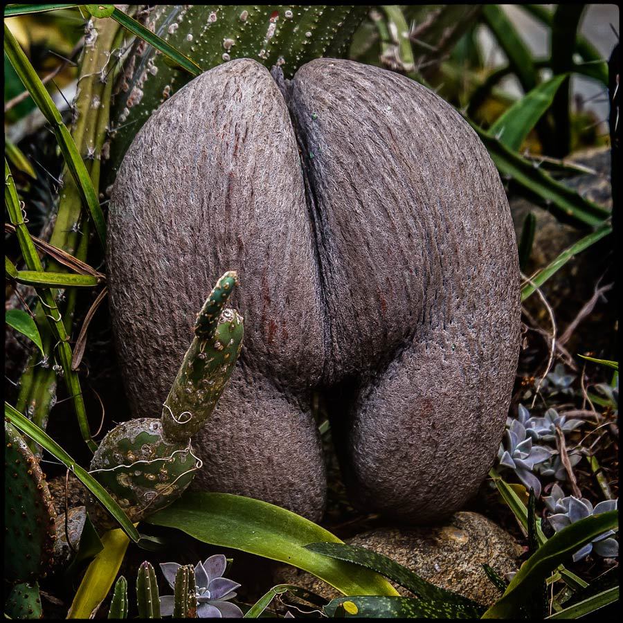   - 2
