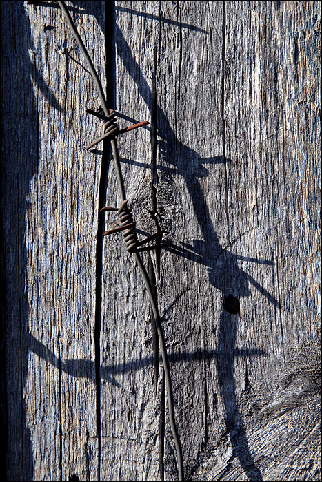   1.