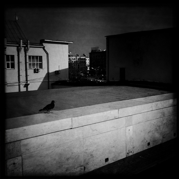  Lomo #177