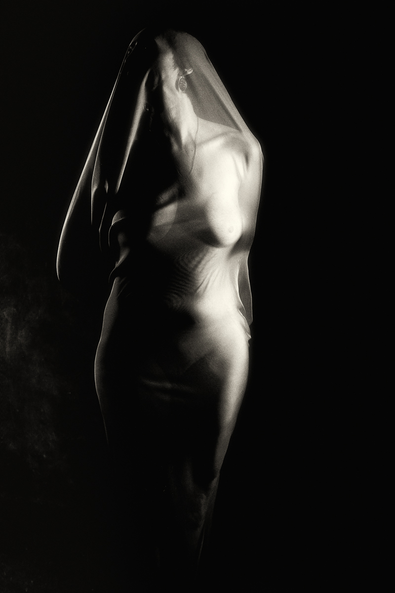  cocoon